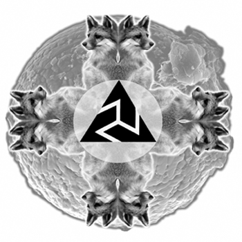 ALLEGORY CHAPEL LTD
